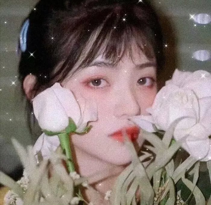 陈浩宇